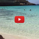 Sicilia, Isola dei Conigli (Lampedusa): Meraviglia della natura |IL VIDEO